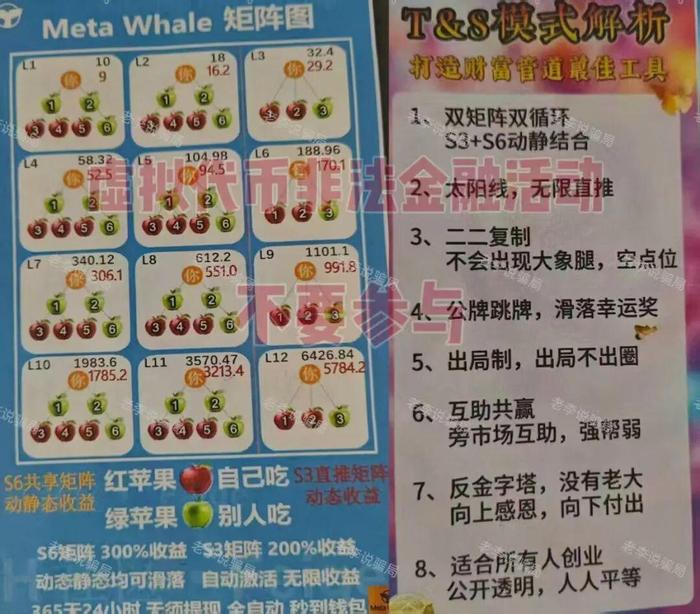 起底“Meta Whale(元鲸鱼)”：区块链外衣下的传销资金盘，别让你的血汗钱打水漂！