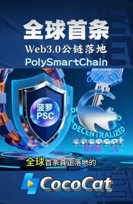 深度起底“菠萝猫”：从“零代码开发”到“百倍收益”，一场针对普通人的精准收割