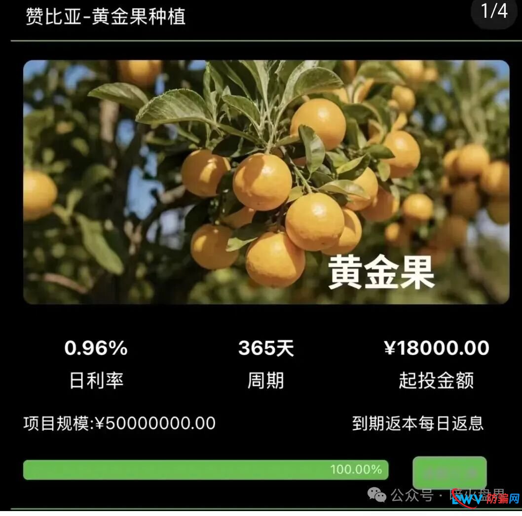 资金盘预警:“华洋绿投”以海外农业为幌子,日息0.67%起,崩盘前最后的提现机会 资金盘预警:“华洋绿投”以海外农业为幌子,日息0.67%起,崩盘前最后的提现机会