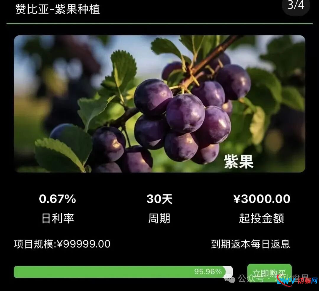 资金盘预警:“华洋绿投”以海外农业为幌子,日息0.67%起,崩盘前最后的提现机会 资金盘预警:“华洋绿投”以海外农业为幌子,日息0.67%起,崩盘前最后的提现机会