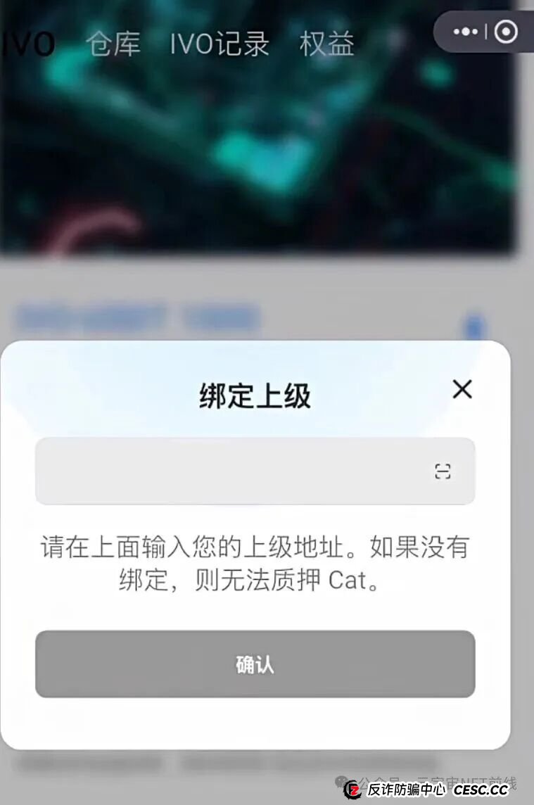 深度起底“菠萝猫”：从“零代码开发”到“百倍收益”，一场针对普通人的精准收割