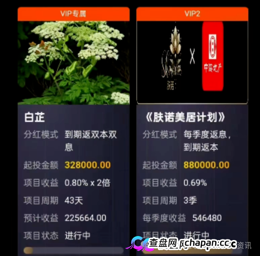 最新曝光18个资金盘虚拟币骗局项目，有些即将崩盘(1)