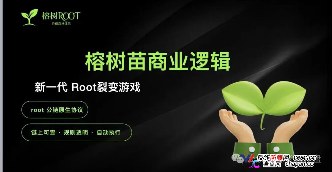 趁榕树ROOT的APP还能打开，赶紧把树苗卖了跑！崩盘前没人给你发短信