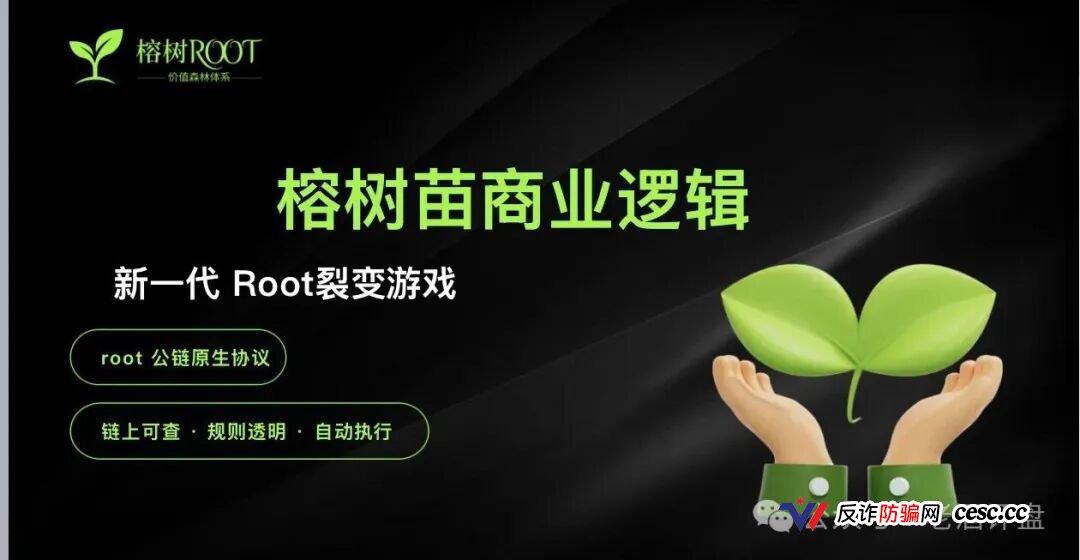 榕树ROOT用8160元树苗骗你拉人头！P5级别11天赚400万全是后台改的数据