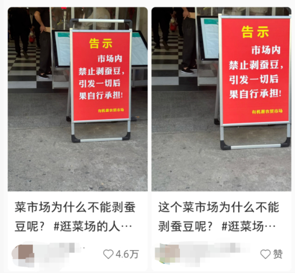 “农贸市场不准剥蚕豆”引热议，剥蚕豆会引发“蚕豆病”？