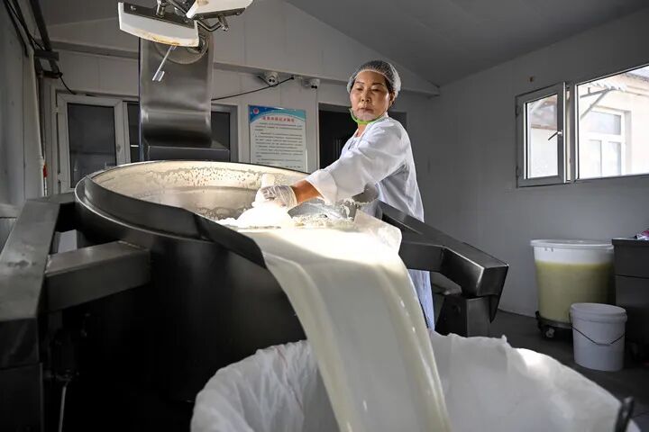 世界牛奶日｜喝够奶、选对奶，这份乳制品选购指南请收好(2)