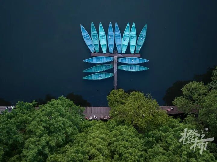 因为商拍,西湖网红打卡点被封禁?景区最新回应(2) 因为商拍,西湖网红打卡点被封禁?景区最新回应(2)