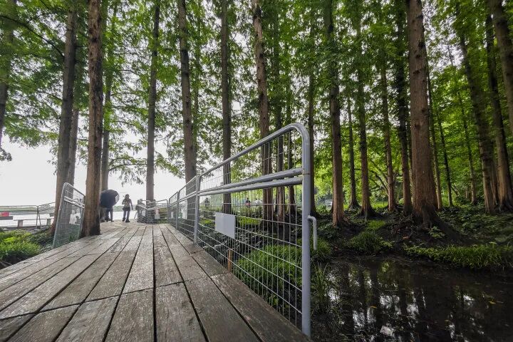 因为商拍,西湖网红打卡点被封禁?景区最新回应(10) 因为商拍,西湖网红打卡点被封禁?景区最新回应(10)