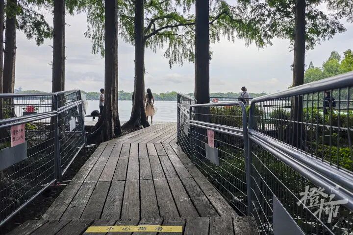 因为商拍,西湖网红打卡点被封禁?景区最新回应(4) 因为商拍,西湖网红打卡点被封禁?景区最新回应(4)