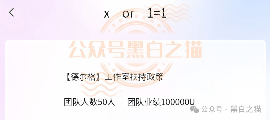 伪冒“德尔格”资金盘U充值，高额返利为诱饵继续诱骗，官媒发声请远离杀猪盘......(8)