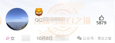 “金河资本”大结局？狗推凌晨3点投诉、境外邮箱洗白、国内团队长瑟瑟发抖——你每投诉一次，曝光就多一篇！(9)