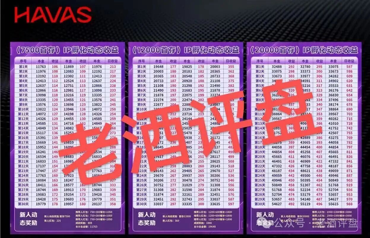 HAVAS汉威士和已跑路的树拍易购同一个团伙，结局早已注定(3)